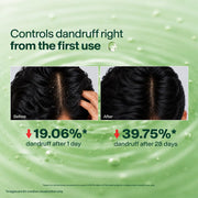 Biotique Fresh Neem Anti Dandruff Shampoo and Conditioner | Controls Dandruff | Eliminates Dryness, Flaking, and Itching | Hair Looks Fresh and Lustrous |Suitable for All Skin Types | 650ml
