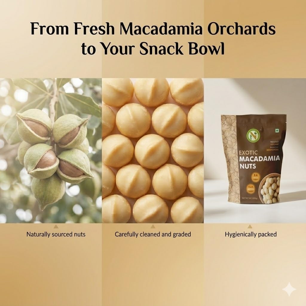 NatureVit Macadamia Nuts 250 Gram | Creamy, Crunchy & Loaded with Good Fats | Keto-Friendly Superfood for Snacking, Baking & Gifting | Heart-Healthy Premium Dry Fruit
