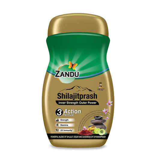 Zandu Shilajitprash | Dual Goodness of Chyawanprash & 2X Shilajit/Shilajeet | Strength, Stamina & 2X immunity* | 450g I 24K Gold Bhasma & 47 Potent Herbs I No added sugar I 100% ayurdevic