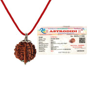 ASTRODIDI Ganesh Rudraksha Original Certified Silver Plated Pendant | Natural Nepali Ganesh Ji Rudraksh Bead | Astrological Benefits | Unisex Design for Men & Women (Color: Brown)