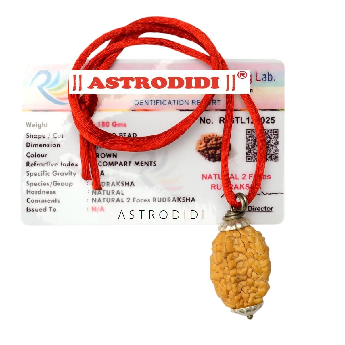 ASTRODIDI Certified and Original 2 Mukhi Rudraksha Pendant with Lab Report for Daily Wearing for Men Women Boys and Girls | Natural Two Face Rudraksh for Meditation and Prayer, Protection, Chakra Balancing, Spiritual Growth