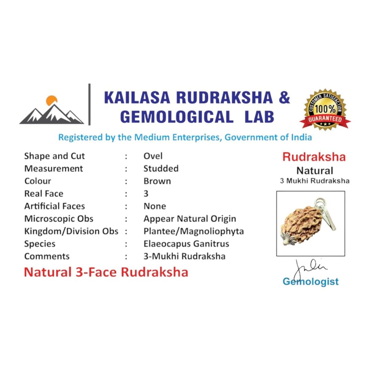 RUDRADIVINE 3 Mukhi Rudraksha with Silver Plated Cap