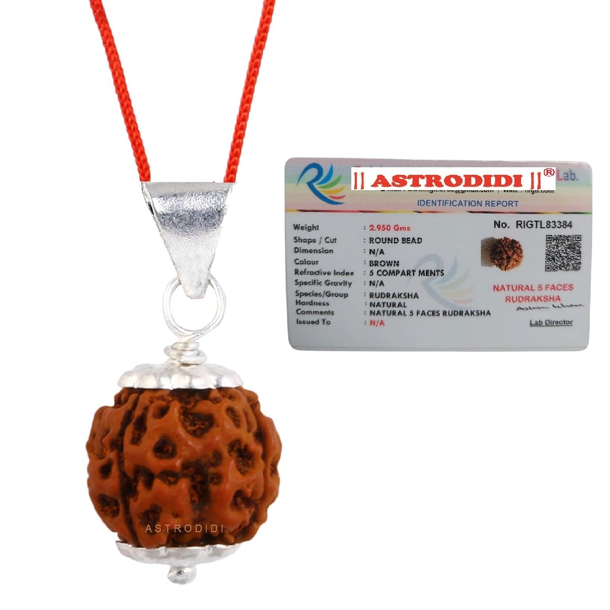 ASTRODIDI 5 Mukhi Rudraksha Original Certified Silver Plated Pendant | Natural Mantra Siddha Nepali Five Face Rudraksh Bead | Astrological Benefits and Unisex Design for Men & Women