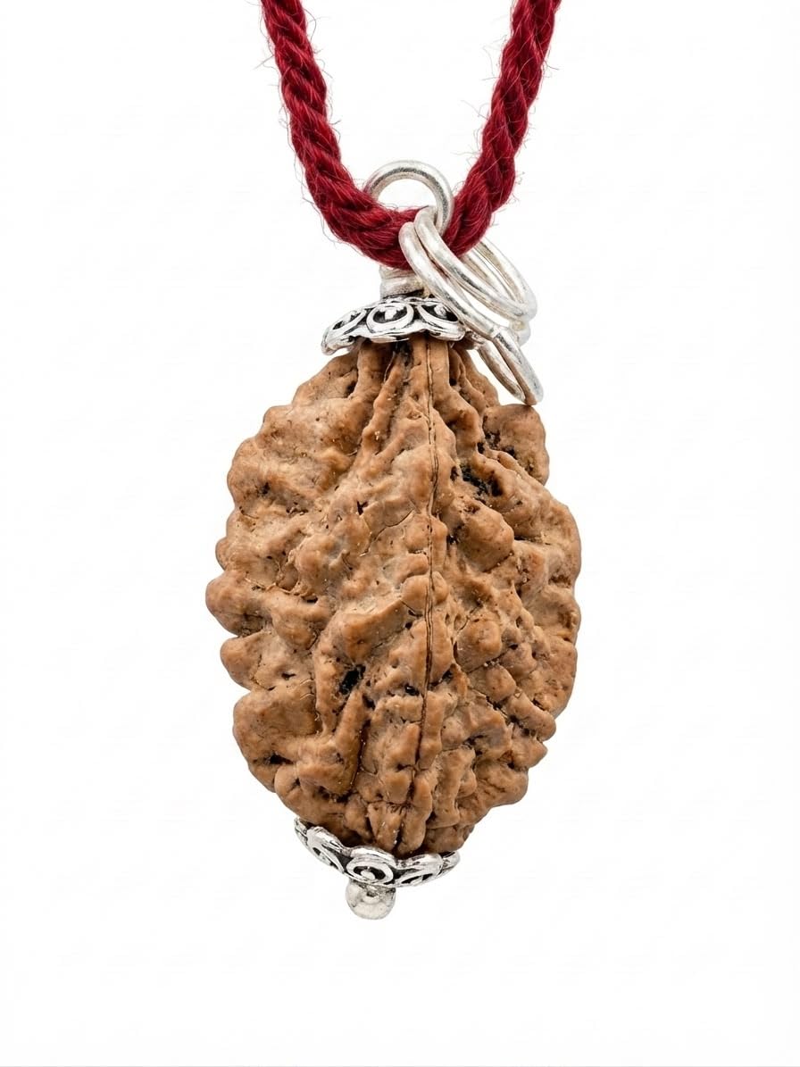 RUDRADIVINE RUDRADIVNE 2 Mukhi Rudraksha Bead with Red Thread.
