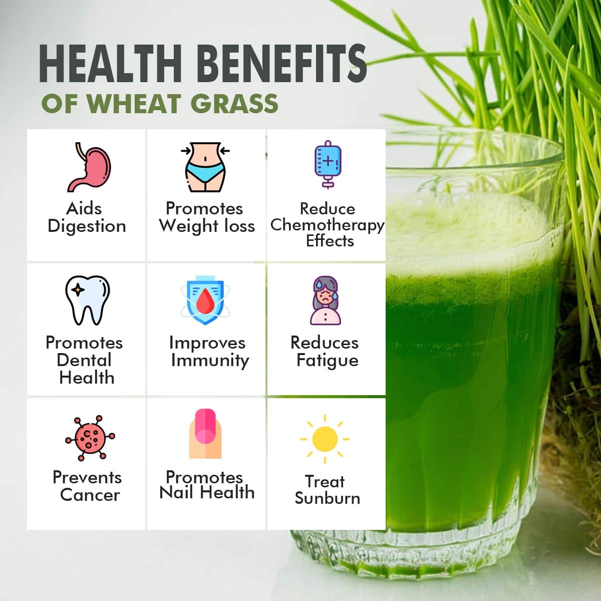 NatureVit Wheat Grass Powder 300g Jar Pack - Non-GMO, Vegan Superfood for Antioxidant, Energy, Detox, Immunity, and Skin Health - Reusable Box Included