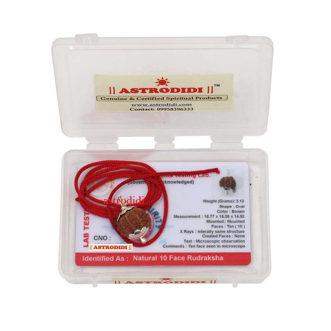 ASTRODIDI 10 Face Rudraksha Brown