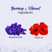 BLUE TEA - Combo Pack - Butterfly Pea Flower & Hibiscus Tea | ANTIOXIDANT RICH | Flower Based - Herbal Tea - Caffeine Free | Pet Jar Packaging