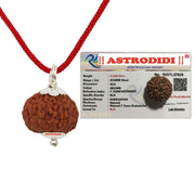 ASTRODIDI 7 Mukhi Rudraksha Original Certified Java Seven Face Small Size Silver Coated Pendant with Lab Report | Astrological Benefits | Unisex Design for Men & Women