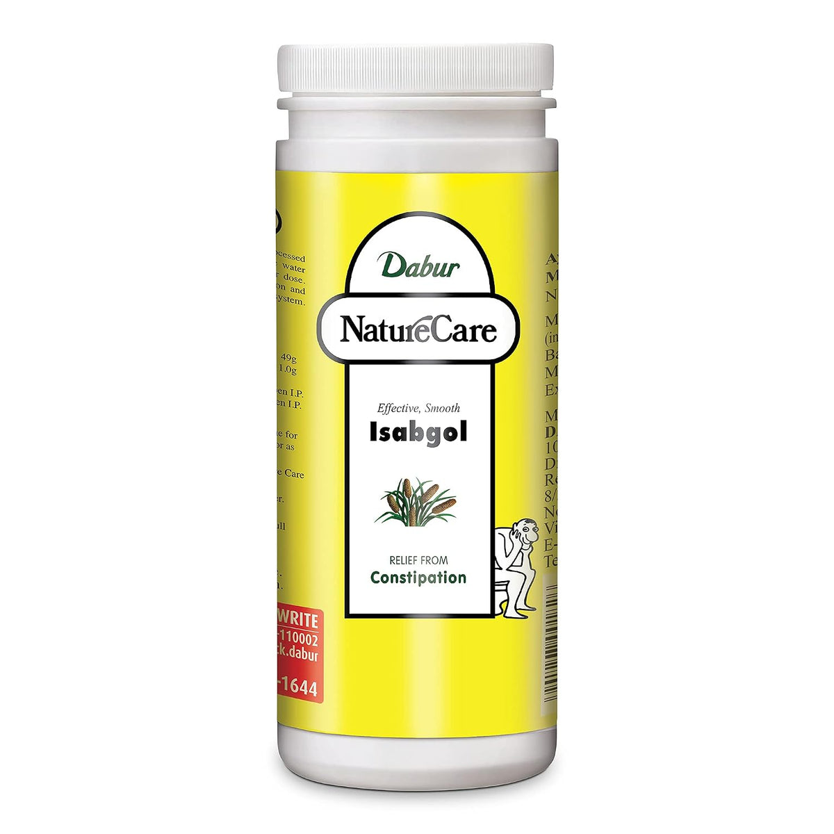 Dabur Nature Care Isabgol| Provides Effective Relief from Constipation -375gm