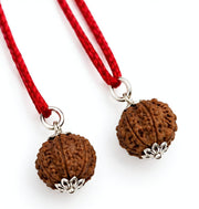 RUDRADIVINE 5 Mukhi Rudraksha Pendant Bead with Red Thread PACK OF 2