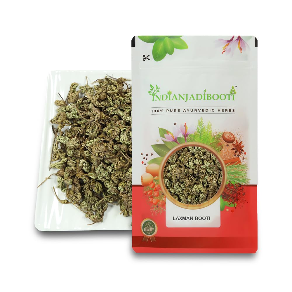 IndianJadiBooti Laxman Booti | 2 Packs of 100g (Total=200g) | Rare Himalayan Herb | Lakshmana/Gubha | Traditional Dried Botanical Specimen for Ayurvedic Collection (Raw Whole Herb)