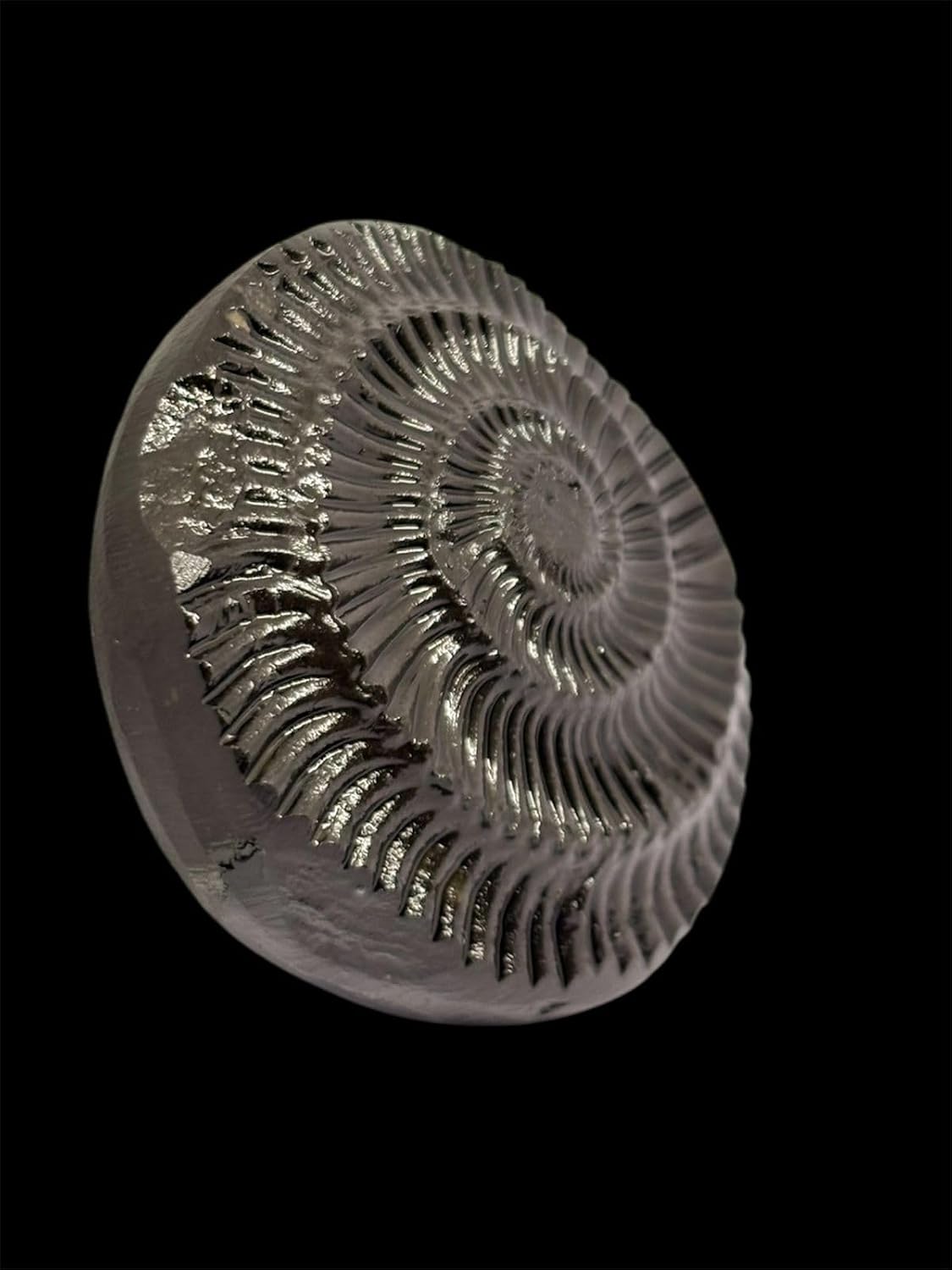 RUDRADIVINE Sudarshan Shaligram Stone Original from Gandaki River Nepal | Vishnu Shila | पूजा शिला