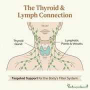 IndianJadiBooti Kachnar Chaal (250g) | Raw & Dried Bauhinia Variegata Bark | Ayurvedic Herb for Thyroid Support & Glandular Wellness | Natural Kanchanara | Authentic & Sifted