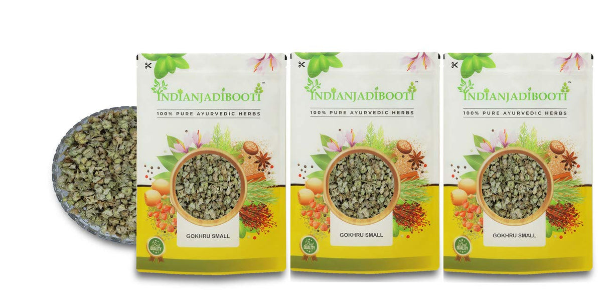 IndianJadiBooti Pure Gokshura (Tribulus Terrestris) 2700g | Premium Ayurvedic Supplement for Physical Endurance, Muscle Support & Athletic Performance | 100% Natural, Non-GMO, Vegetarian | FSSAI Licensed