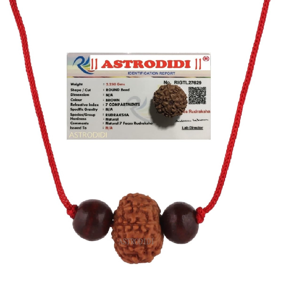 Astrodidi 7 Mukhi Rudraksha Java Indo Small Size Seven Face Rudraksha with Two Red Chandan Beads | Certified Rudraksh in Red Thread (Colour: Brown, Shape: Round)