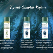 Biotique Ocean Kelp Anti Hair Fall Conditioner Intensive Hair Growth Therapy, 120ml