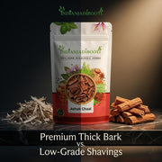 IndianJadiBooti IIndianJadiBooti Pure Ashok Chaal (Ashoka Bark) | Saraca Indica | Traditional Ayurvedic Botanical for Holistic Female Wellness & Systemic Harmony