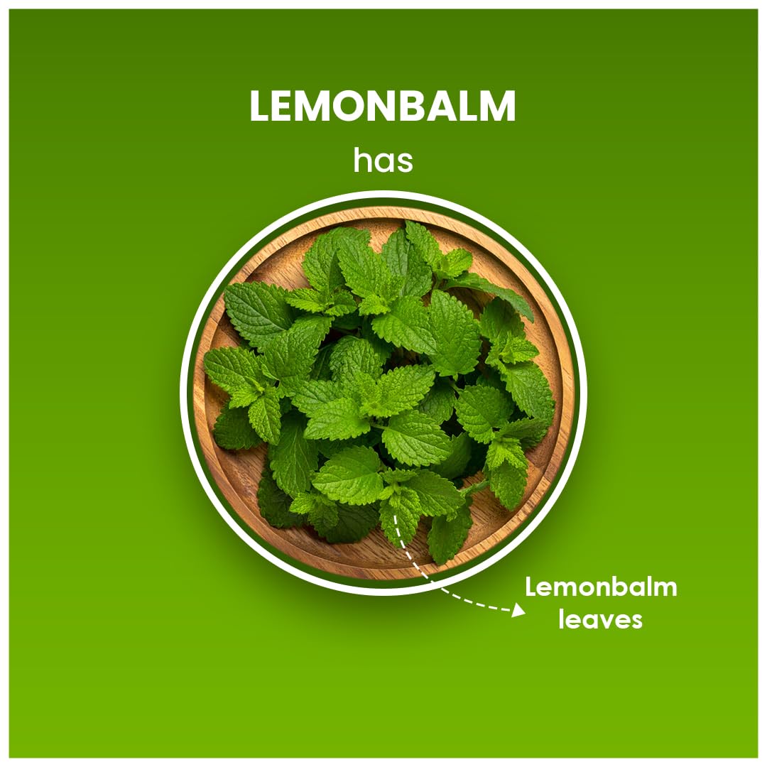 BLUE TEA - Lemon Balm Tea - 50gm - 50+ Cups | RELIEVES STRESS | REDUCES BLOATING | IMPROVES DIGESTION | Leaf Based - Caffeine Free - Relaxing | Reusable Pet Jar