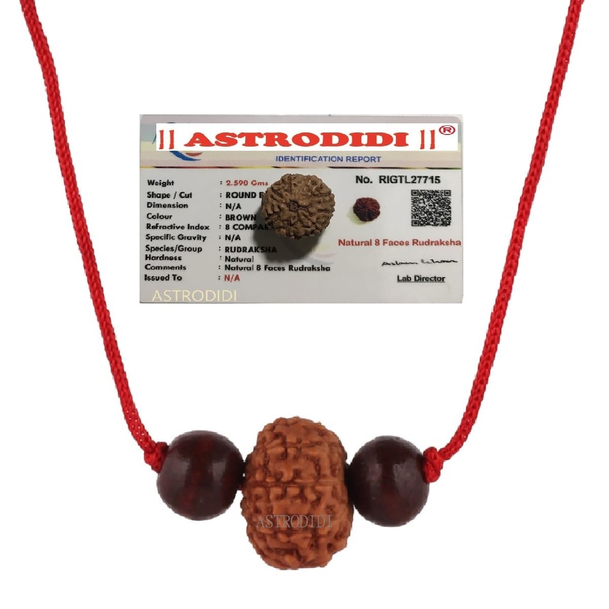 Astrodidi 8 Mukhi Rudraksha Java Indo Small Size Eight Face Rudraksha with Two Red Chandan Beads | Certified Rudraksh in Red Thread (Colour: Brown, Shape: Round)