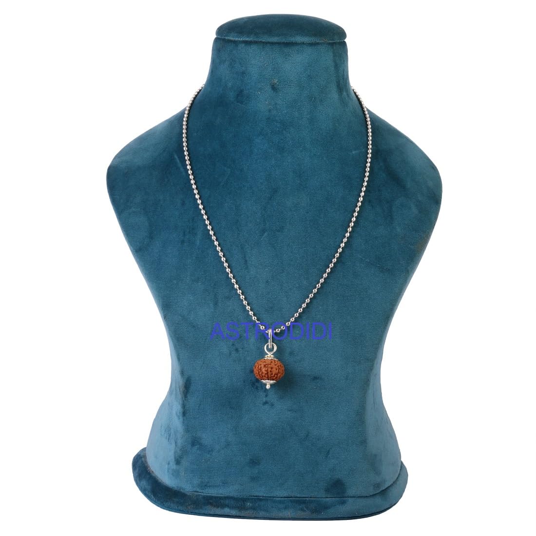 ASTRODIDI 10 Mukhi Rudraksha | Original Cerified Java Small Size (15-16mm) Ten Face Das Mukha Rudraksha Pendant With White Metal Capping and Chain for Men and Women