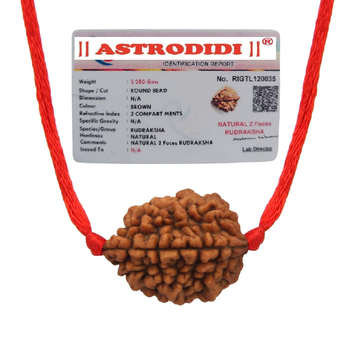 ASTRODIDI Original and Certified 2 Mukhi Rudraksha Bead with Red Thread for Daily Wearing for Men Women Boys and Girls | Natural Two Face Rudraksh Bead | Unisex Design