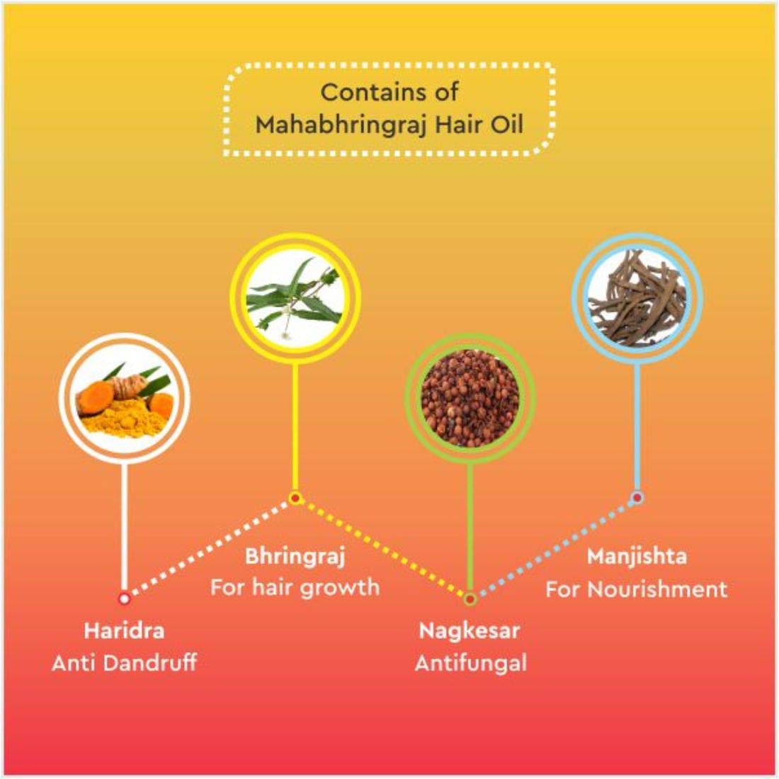 Baidyanath Asli Ayurved Mahabhringraj Tel I For Hair Growth I Anti Dandruff I 50 ml