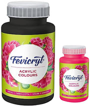 Pidilite Fevicryl Acrylic Painting Color (Pink, 500ml) & Fevicryl Pidilite Acrylic Colour, Black Acrylic Paint, 500 ml