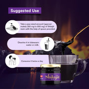 Baidyanath Asli Ayurved Himalayan Shilajit/Shilajeet Resin 20gm - 100% Ayurvedic | Performance Booster For Endurance and Stamina