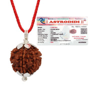 ASTRODIDI Original Certified 7 Mukhi Rudraksha Bead with Red Thread for Daily Wearing | Natural Nepali Seven Face Rudraksh Pendant | Unisex Design for Men Women Boys and Girls