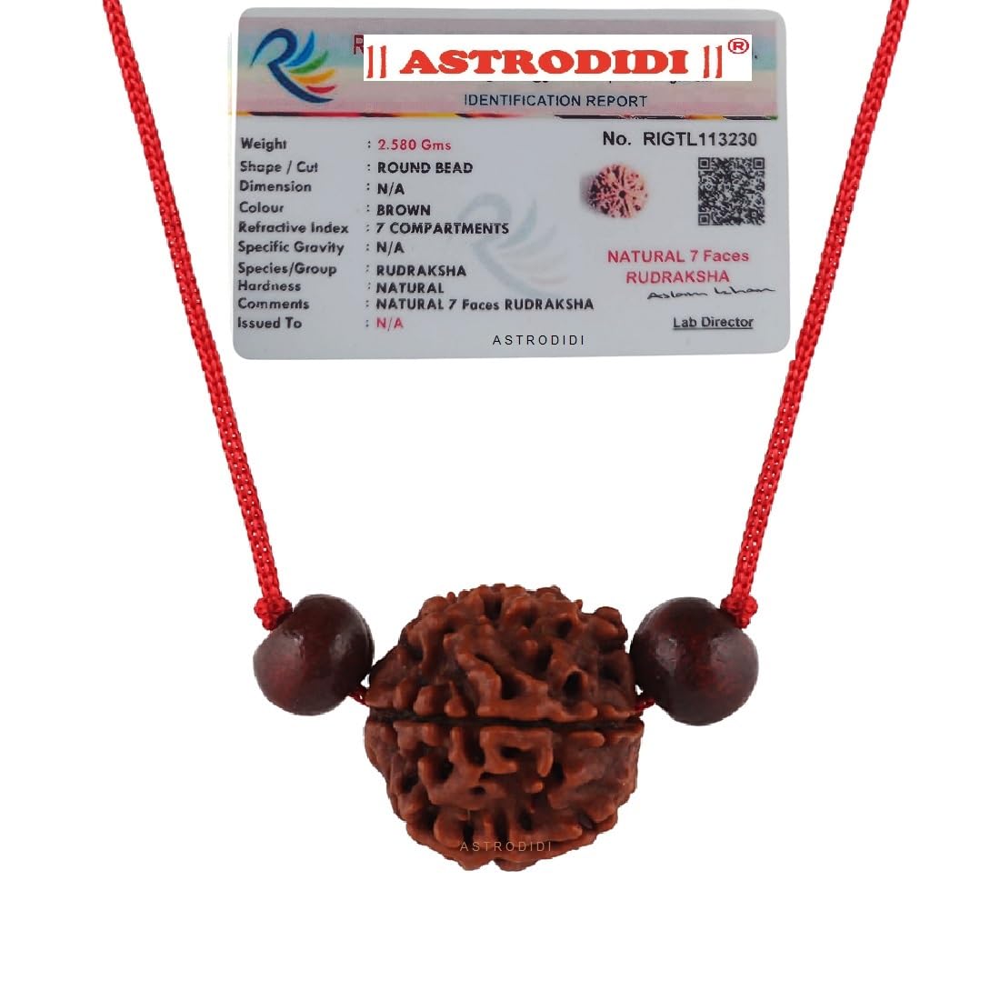 Astrodidi 7 Mukhi Rudraksha | Certified Nepali Seven Face Rudraksh with Two Red Chandan Beads in Red Thread with Lab Certificate (Colour: Brown, Shape: Round)