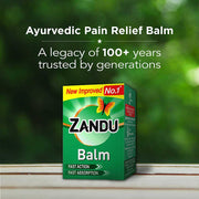Zandu Balm - 10 ml, For instant pain relief from cold, headache & body