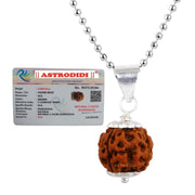 ASTRODIDI Nepali 5 Mukhi Rudraksha Pendant with Lab Report/Certified Natural Five Face Rudraksh with White Metal Capping and Chain for Men and Women (Colo: Brown, Shape: Round)