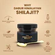Dabur Himalayan Shilajit Resin – 15g | 250mg per Serving | Boosts Strength, Stamina & Muscle Growth | Shilajit for men |100% Ayurvedic Grade A Shilajit Sourced from the Himalayas (Up to 19,000 ft)