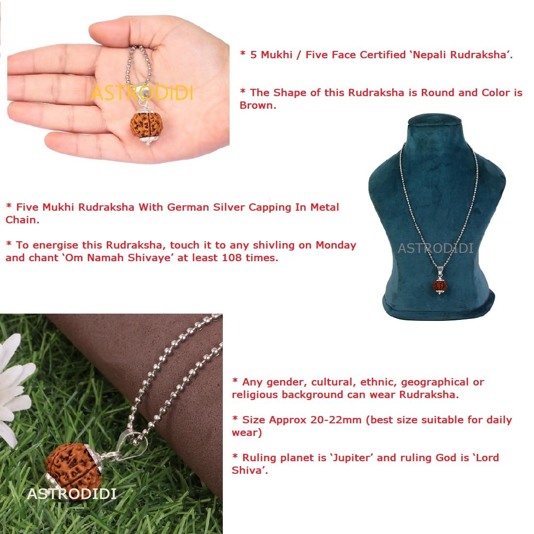 ASTRODIDI Nepali 5 Mukhi Rudraksha Pendant with Lab Report/Certified Natural Five Face Rudraksh with White Metal Capping and Chain for Men and Women (Colo: Brown, Shape: Round)