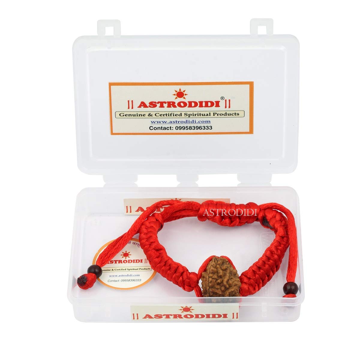 ASTRODIDI 2 Mukhi Rudraksha Two Face Rudraksh Bracelet