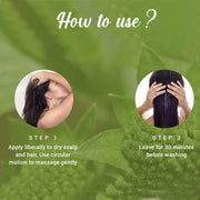 Biotique Bio Bhringraj Therapeutic Oil for Falling Hair | Intensive Hair Regrowth Treatment | Nourishing Follicles| Strong and Shiny| For All Skin Types| 120m