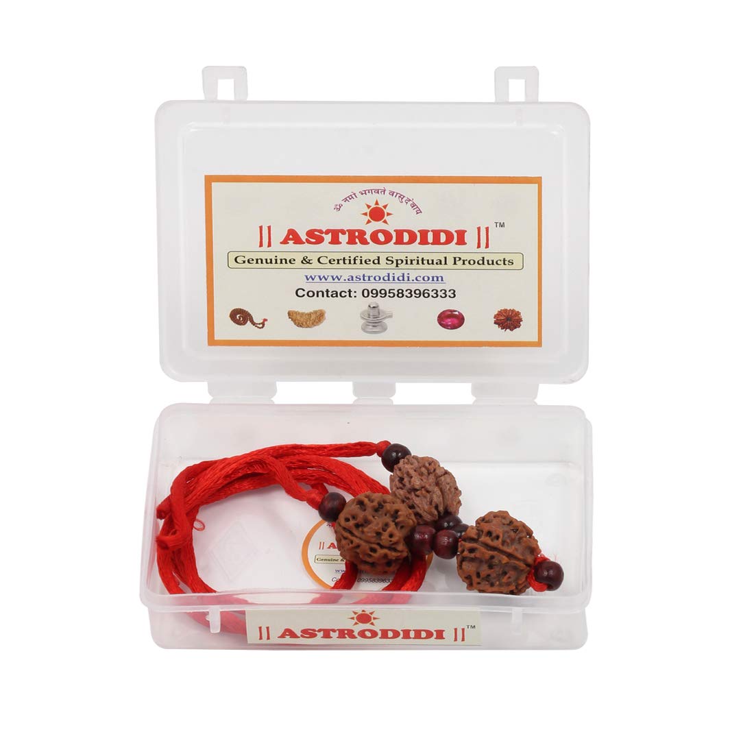 ASTRODIDI Saraswati Rudraksha Pendant Combination of 3,4 & 6 Mukhi Rudraksh Beads