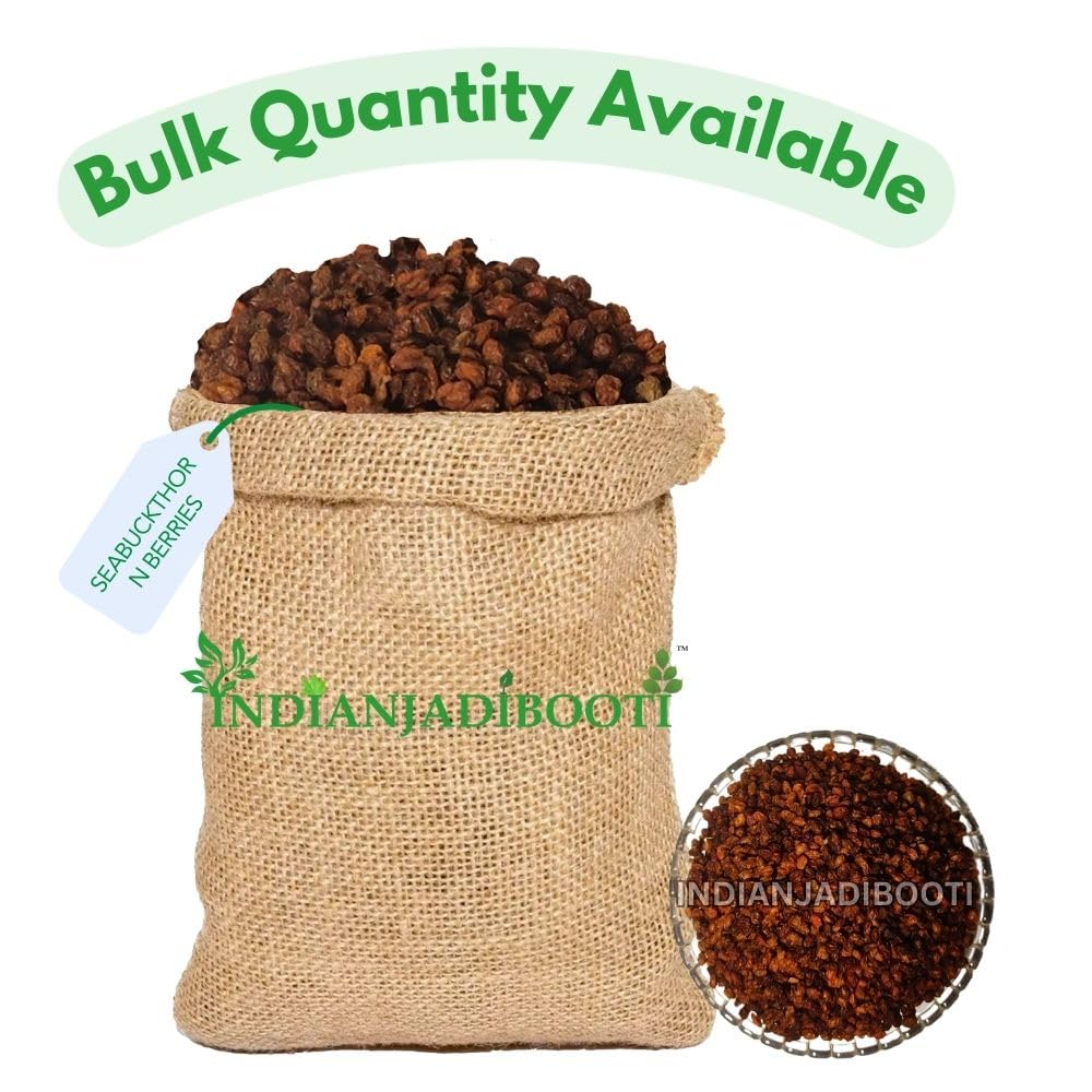 IndianJadiBooti Sea Buckthorn Berries (Hippophae Rhamnoides) - 250g | Dried Himalayan Superfood | Rich in Omega 7 & Vitamin C for Glowing Skin & Immunity | Tea & Smoothie Mix