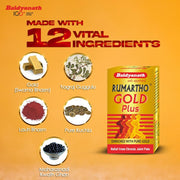 Baidyanath asli ayurved jhansi Rheumartho Gold 30 capsules Enriched wih Gold Ashes | useful in joint Pains (Gold Plus)