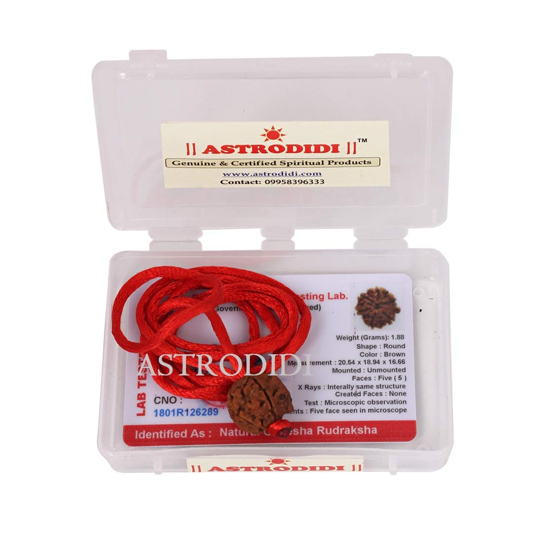 ASTRODIDI Nepali Ganesha Rudraksha with Red Thread for Daily Wearing | Original Certified Natural Nepali Ganesha Rudraksha Trunk Bead | Unisex Design for Men and Women