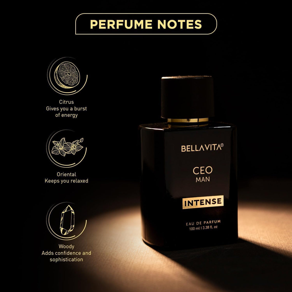 Bella Vita Luxury Fire and Ice | CEO Men Intense & OCEAN | Long Lasting Perfume for Man | 2x 100ml | Citrus, Woody and Musky Premium Fragrance Scent
