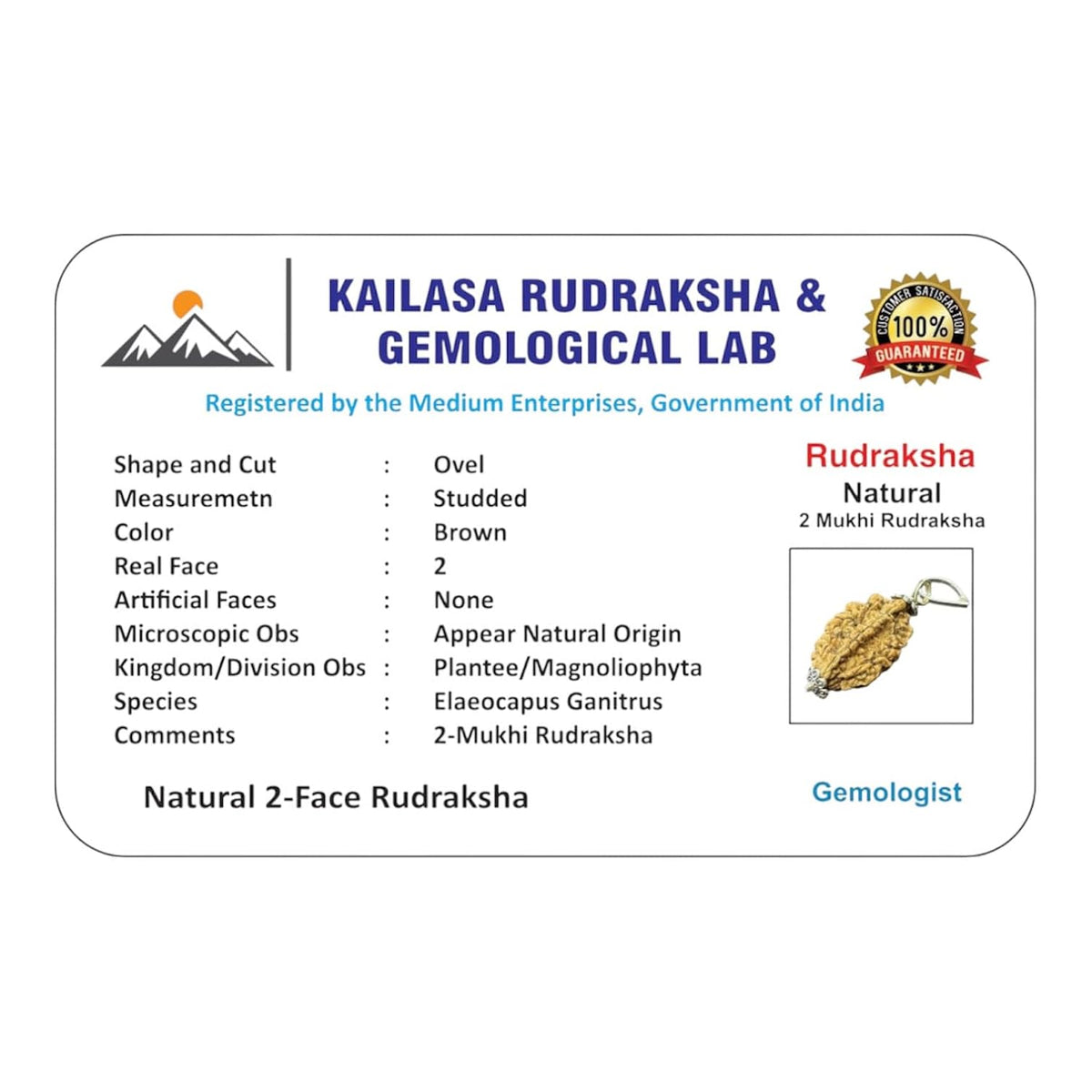 RUDRADIVINE RUDRADIVNE 2 Mukhi Rudraksha Bead with Red Thread.