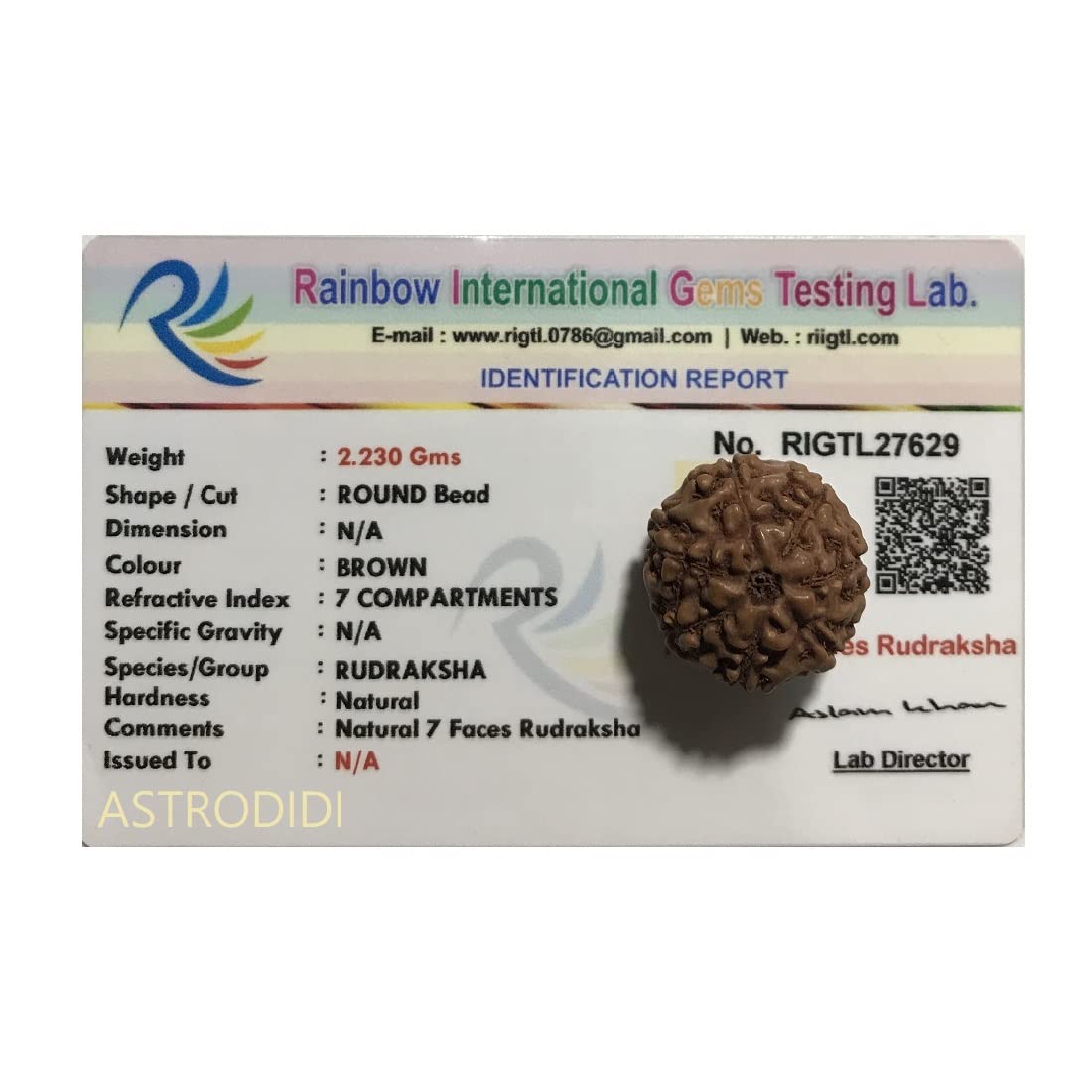 Astrodidi 7 Mukhi Rudraksha Original Certified Java Seven Face Small Size Rudraksh Bead with Lab Report | Astrological Benefits | Unisex Design for Men & Women