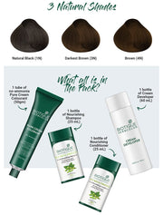 Biotique Bio Herbcolor 1N Natural Black, 50 g + 110 ml, Bio Herbcolor 3N Darkest Brown, 50 g + 110 ml and Bio Herbcolor 4N Brown, 50 g + 110 ml (Pack of 3)