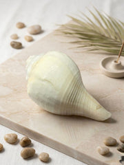RUDRADIVINE Natural Shankh Conch Shell for Pooja, Sacred Hindu Puja Shankh for Temple, Aarti, Vastu & Spiritual Rituals.