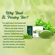 Biotique Basil & Parsley Revitalizing Bathing Bar| Ayurvedic and Organically Pure| Maintains Skin’s Natural pH |100% Botanical Extracts| Suitable for All Skin Types | 150gm 3, 225 g (3 x 75 g)