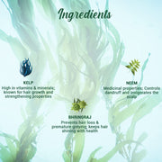 Biotique Ocean Kelp Anti Hairfall Shampoo | Intensive Hair Growth Therapy| Anti Hairfall Shampoo that Maintains Shine |100% Botanical Extracts | Suitable for All Hair Types |800ml