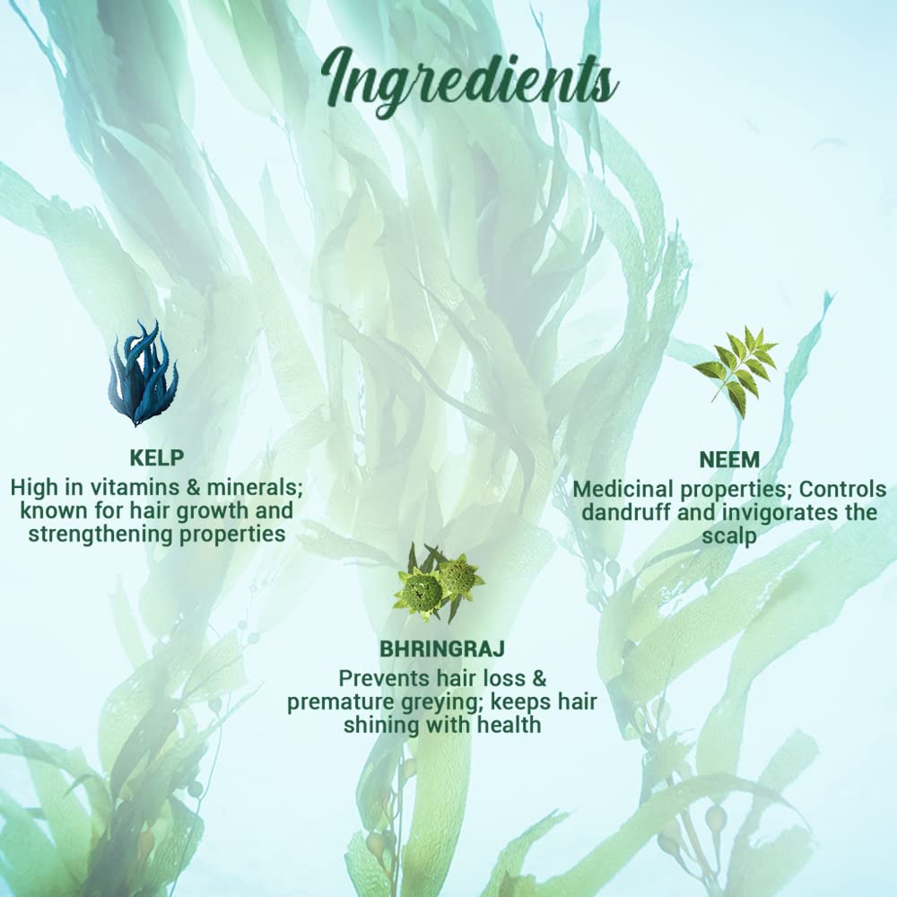 Biotique Ocean Kelp Anti Hairfall Shampoo | Intensive Hair Growth Therapy| Anti Hairfall Shampoo that Maintains Shine |100% Botanical Extracts | Suitable for All Hair Types |340ml