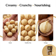 NatureVit Macadamia Nuts 250 Gram | Creamy, Crunchy & Loaded with Good Fats | Keto-Friendly Superfood for Snacking, Baking & Gifting | Heart-Healthy Premium Dry Fruit