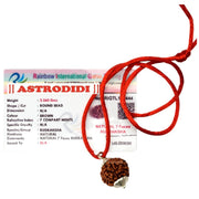 ASTRODIDI 7 Mukhi Rudraksha Original Certified Silver Plated Pendant | Natural Nepali Seven Face Rudraksh Bead | Astrological Benefits | Unisex Design for Men & Women